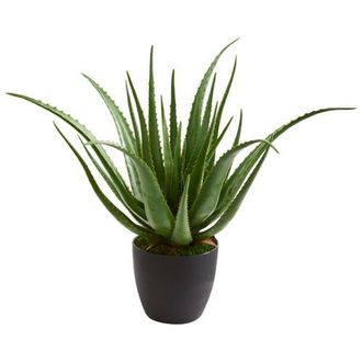 Nearly Natural Aloe Artificial Plant in Green at Nordstrom