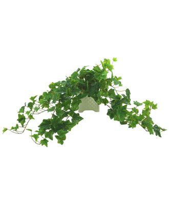 Creative Displays Inc. Green Ivy Arrangement In Square Ceramic Pot