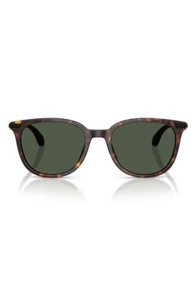 Moncler Kora 53mm Polarized Oval Sunglasses in Havana /Polar Solid Green at Nordstrom