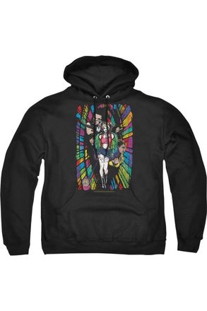 Gildan Birds Of Prey Color Corridor Adult Pull Over Hoodie / Hooded Sweatshirt