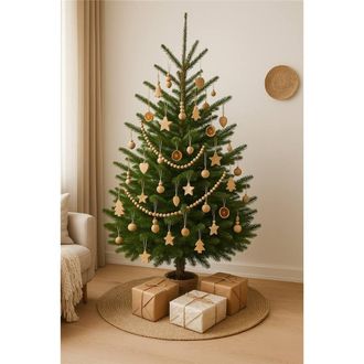 Clifton Premier Norway Spruce Christmas Tree - Fresh Cut - 2.0m - 2.5m (6.5 - 8ft) in Green