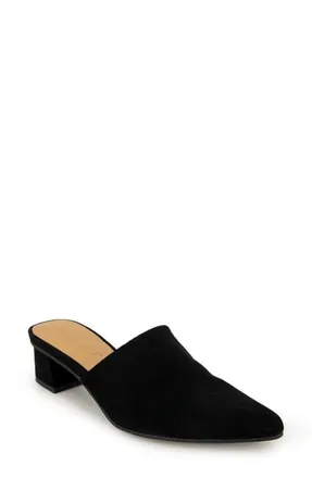 Splendid Lorelei Mule in Black at Nordstrom, Size 6.5