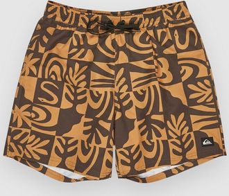 Quiksilver Everyday Straight Volley 17 Shorts braun