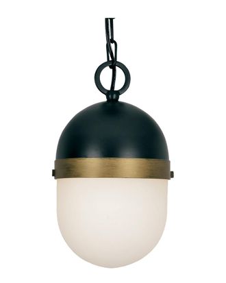 Crystorama 1-Light Capsule Outdoor Pendant