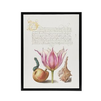 Artery8 Pear Pink Tulip & Seashell Calligraphy Framed Canvas Wall Art Print in White | Size: W24 x H32