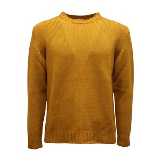 PT01 Round-neck Knitwear, male, Yellow, Size: M Wool Sweater from Torino, Made in Italy