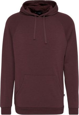 Stoic MerinoFleece270 MMXX.Lulea Hoody Merinohoodie f&uuml;r Herren | braun