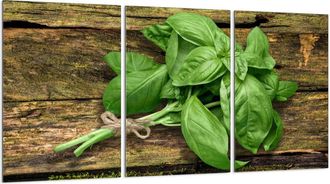 OEM Placa Protectora De Vidrio Para Estufa 3x30x52