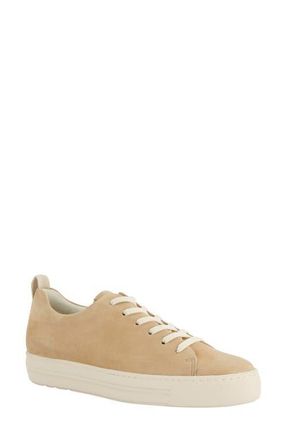 Paul Green Ajay Low Top Sneaker in Dakar Suede at Nordstrom, Size 6Us