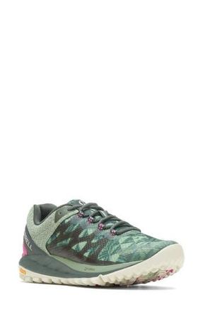 Merrell Antora 2 Trail Running Shoe in Tea at Nordstrom Rack, Size 6
