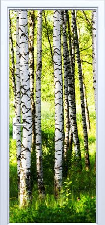 OEM Adhesivo De Tela Para Puerta Con Dise&ntilde;o De Bosque De Abedules 886pd