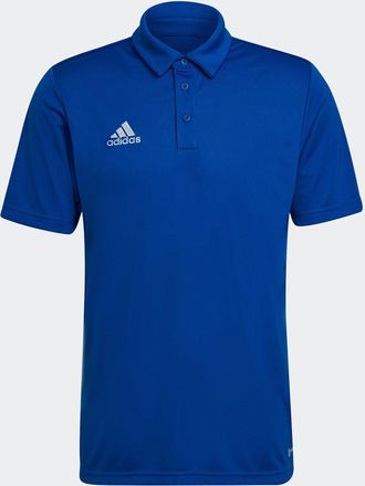 adidas Poloshirt ADIDAS PERFORMANCE ENT22 POLO, Herren, Gr. S, blau (royal blau), Obermaterial: 100% Polyester, bestickt, Shirts Poloshirt