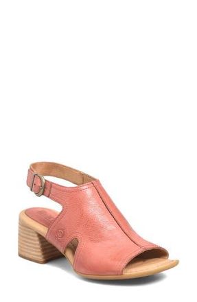 B&oslash;rn Swinton Sandal in Rust Leather at Nordstrom Rack, Size 11