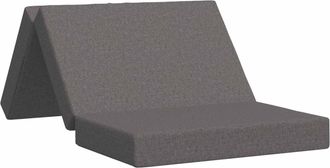 vidaXL Sof&aacute; Cama Plegable 100 X 67 X 45 Cm Gris Claro Vidaxl