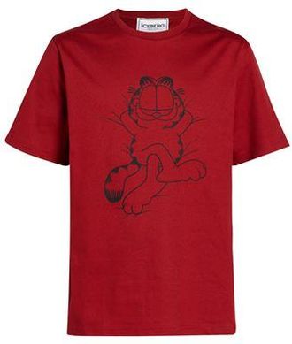 Iceberg X GARFIELD