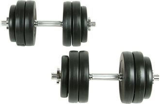 vidaXL Set manubri 30 kg