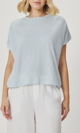 Splendid Rebecca Shirred Sleeve Cotton Blend T-Shirt in Country Air Blue at Nordstrom, Size X-Large