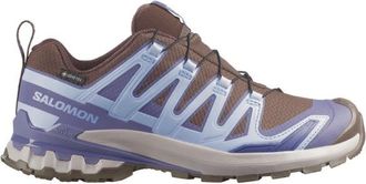Salomon XA Pro 3D V9 GTX Multisportschuhe f&uuml;r Damen | grau
