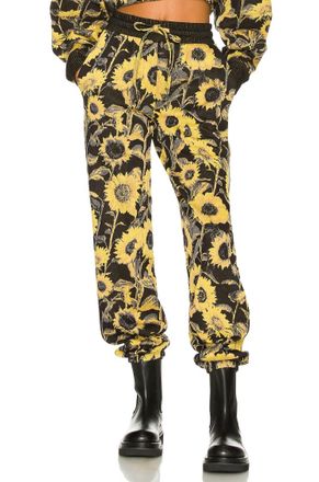 Twenty Montreal Sunflower Hyperreality Sweatpants In Black