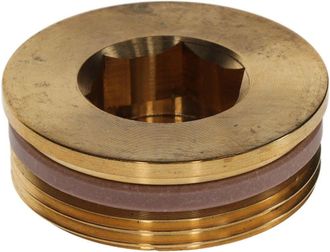 Bosch Tap&oacute;n G1 1/2 Sw22 Con Anillo De Ptfe Everp, 8735101094