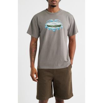 Afield Out Escape Graphic T-Shirt in Ash at Nordstrom Rack, Size X-Large