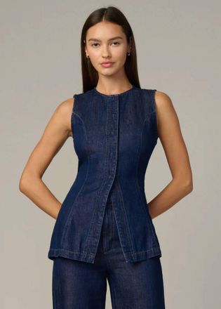 Joe's The Seamed Sleeveless Tunic Top In Honor