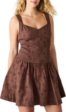 Steve Madden Dixie Embroidered Sleeveless Minidress in Walnut at Nordstrom, Size X-Small