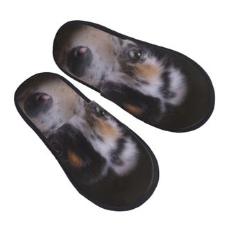 Generic Slipper Australian Shepherd Unisex House Slippers Non-Slip Cotton Slipper For Indoor Hotel Ladies M