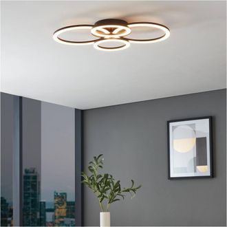 Loops Stylish Black Pendant Light - Indoor Ceiling Fixture for Home Decor