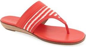 Aerosoles Gesa Thong Sandal in Eggnog/Racing Red Stripe at Nordstrom Rack, Size 7.5