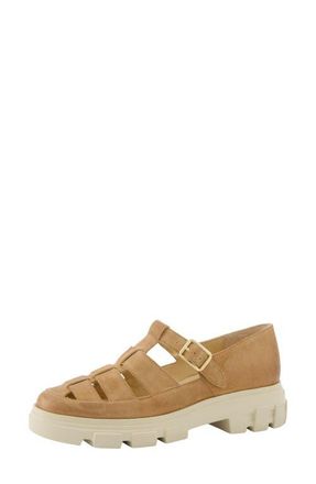 Paul Green Drea Fisherman Sandal in Dakar Natural Suede at Nordstrom, Size 10.5Us