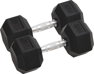 vidaXL Mancuernas 2 Unidades Total Hierro Fundido 10 Kg Vidaxl