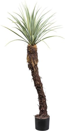 Creativ Green Kunstpflanze