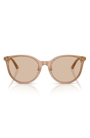 Jimmy Choo London 54mm Phantos Sunglasses in Transparent Tan /Light Brown at Nordstrom