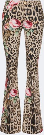 Roberto Cavalli Leopard-print floral flared jeans