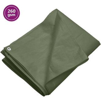 vidaXL Lona Hdpe Verde 260 G/m&sup2; 6x6 M Vidaxl