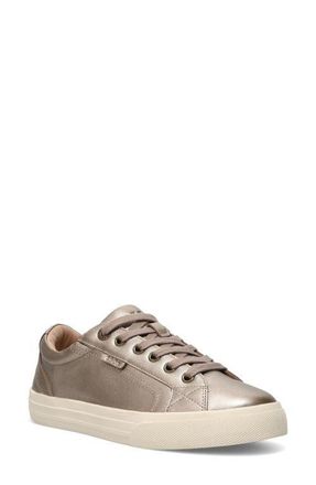 Taos Plim Soul Luxe Sneaker in Champagne at Nordstrom, Size 6.5