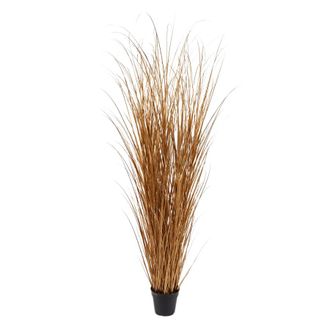 Schubiger M&ouml;bel Kunstpflanzen Schilfgras Gold H: 180 cm