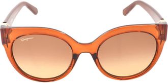 Ferragamo Salvatore Ferragamo Brown Gradient Butterfly Ladies Sunglasses SF1031S 261 53