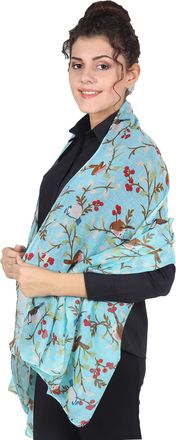World of Shawls Winter Christmas Robin Bird Print Girls Lady Women Colorful Long Cute Scarf Wraps Shawl Soft Scarves Maxi (158 Turquoise)