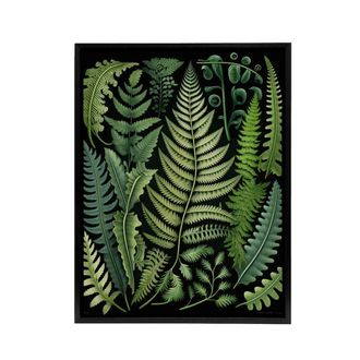 Artery8 Ernst Haeckel Inspired Fern Leaf Fronds Framed Canvas Wall Art Print in Green | Size: W24 x H32