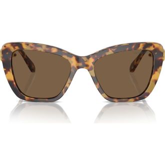 Swarovski 55mm Cat Eye Sunglasses in Dark Brown at Nordstrom Rack