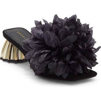 Cecelia New York Dahlia Slide Sandal in Black at Nordstrom, Size 7.5