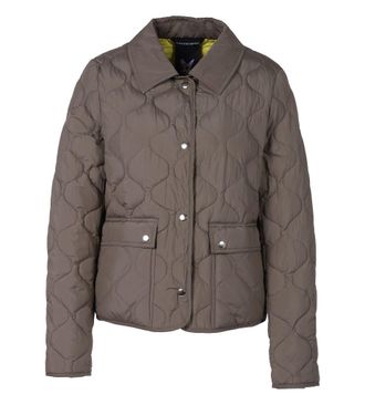 Fuchs Schmitt Steppjacke FUCHS SCHMITT, Damen, Gr. 36, schilf, Web, Obermaterial: 100% Polyester, unifarben, regular fit normal, Rundhals, eingefasste Kante, Jacken