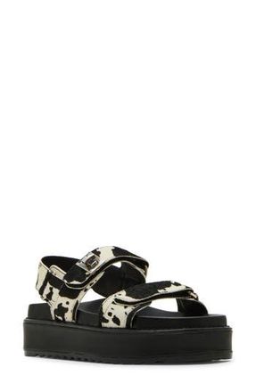 Steve Madden Big Mona Genuine Calf Hair Platform Sandal in Cow Print at Nordstrom Rack, Size 11