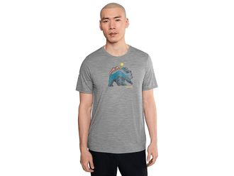 Smartwool Bear Strata Active Short Sleeve Graphic T-Shirts Mens Clothing Light Gray Heather : MD, Polyester/Wool
