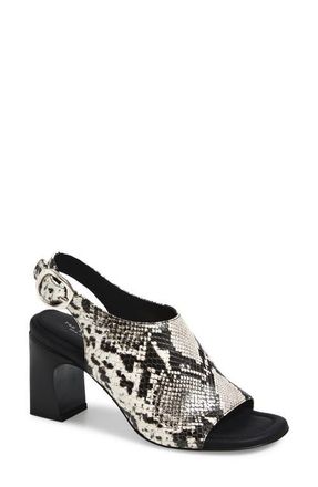 Rag & Bone Gigi Slingback Sandal in Black/White Snake at Nordstrom, Size 10.5Us