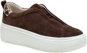 Linea Paolo Golde Platform Sneaker in Chocolate Brown/Brown at Nordstrom Rack, Size 7