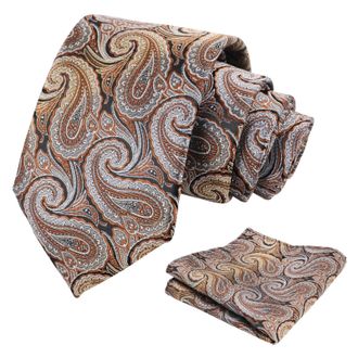 Alizeal Mens Paisley Jacquard Necktie and Pocket Square Classic Retro Business Casual Tie Set, Brown