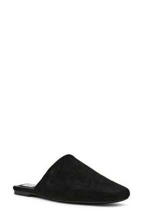 Dolce Vita Felicia Mule in Black Faux Suede at Nordstrom Rack, Size 7.5